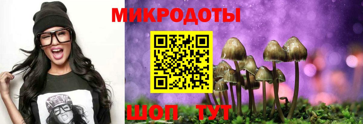 Галлюциногенные грибы Cubensis Москва